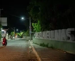 Clavelinas