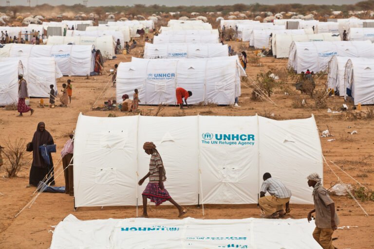 refugiados UNHCR