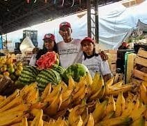 Agricultura familiar Brasil