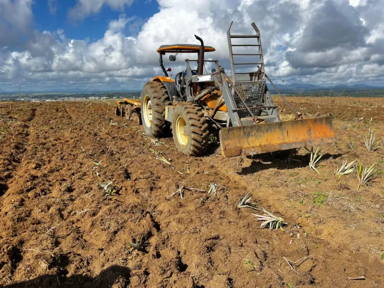 Tractor plantacion