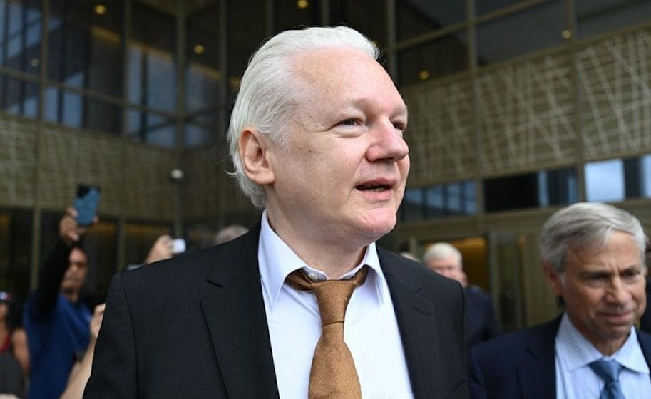 Assange perfil