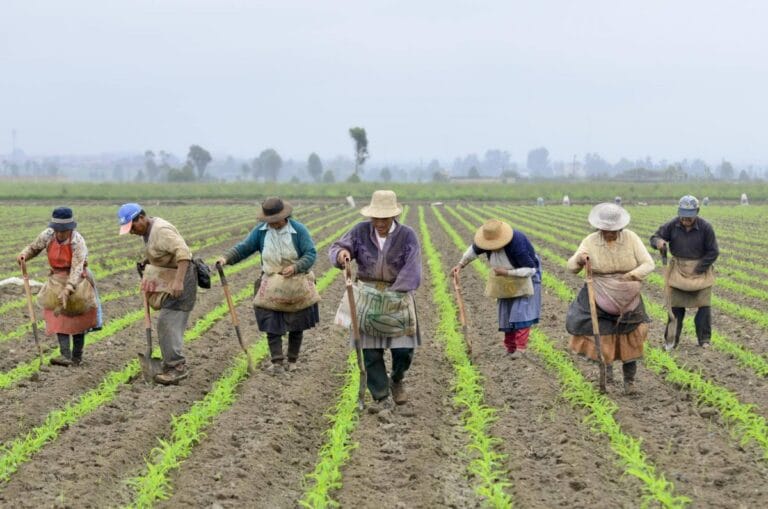 Campesinos Colombia