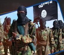 Combatientes Daesh