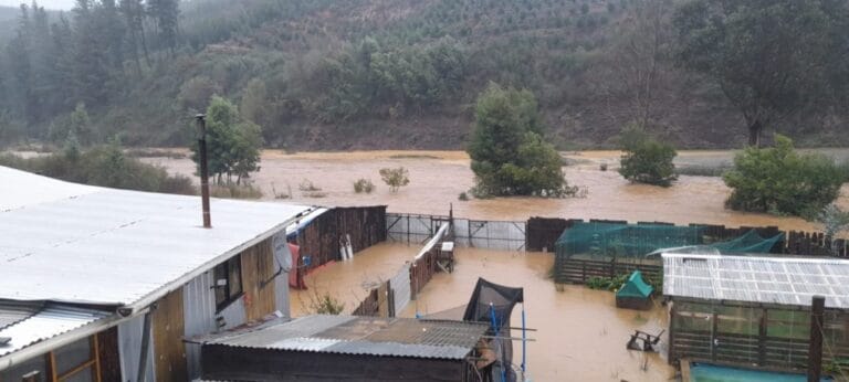 Curanilahue inundada