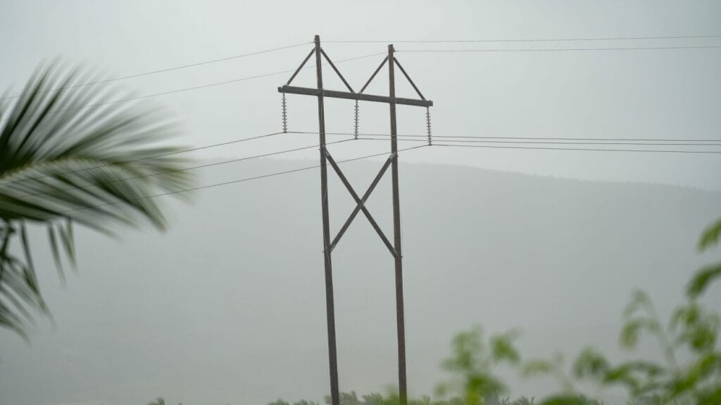 Estructura ETED