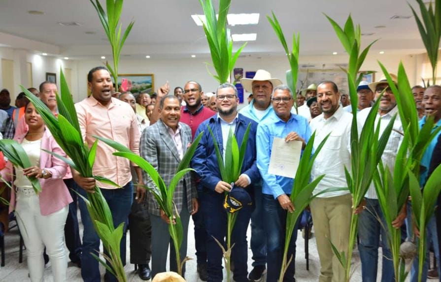 Plantas coco