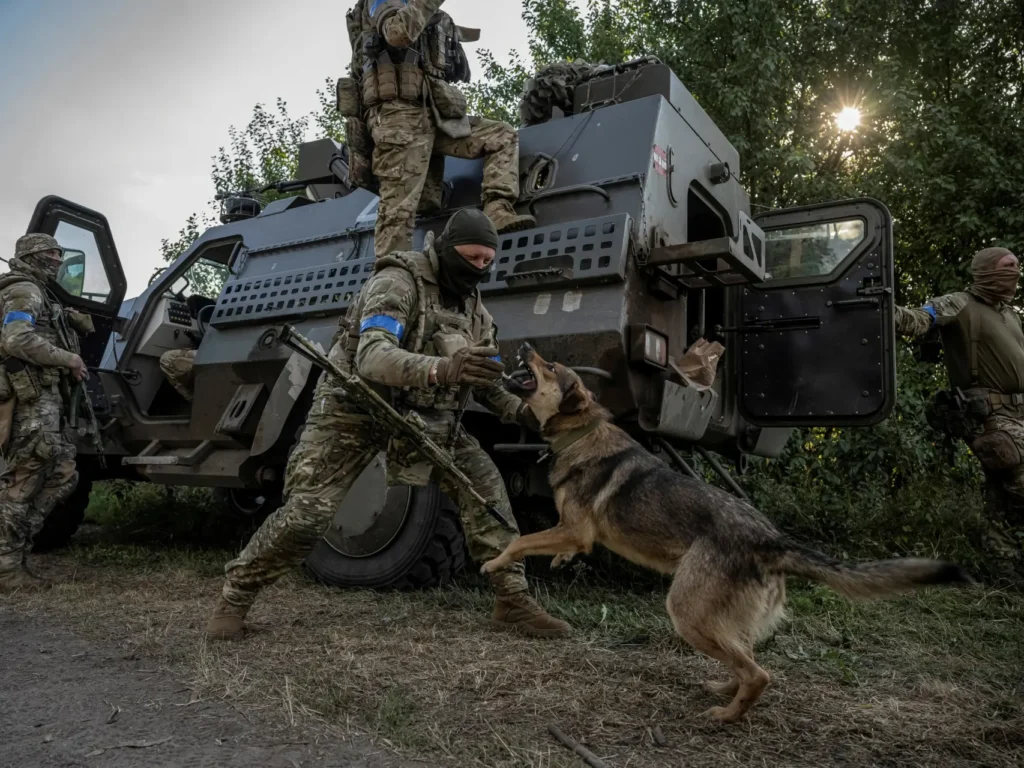 el perro de kursk