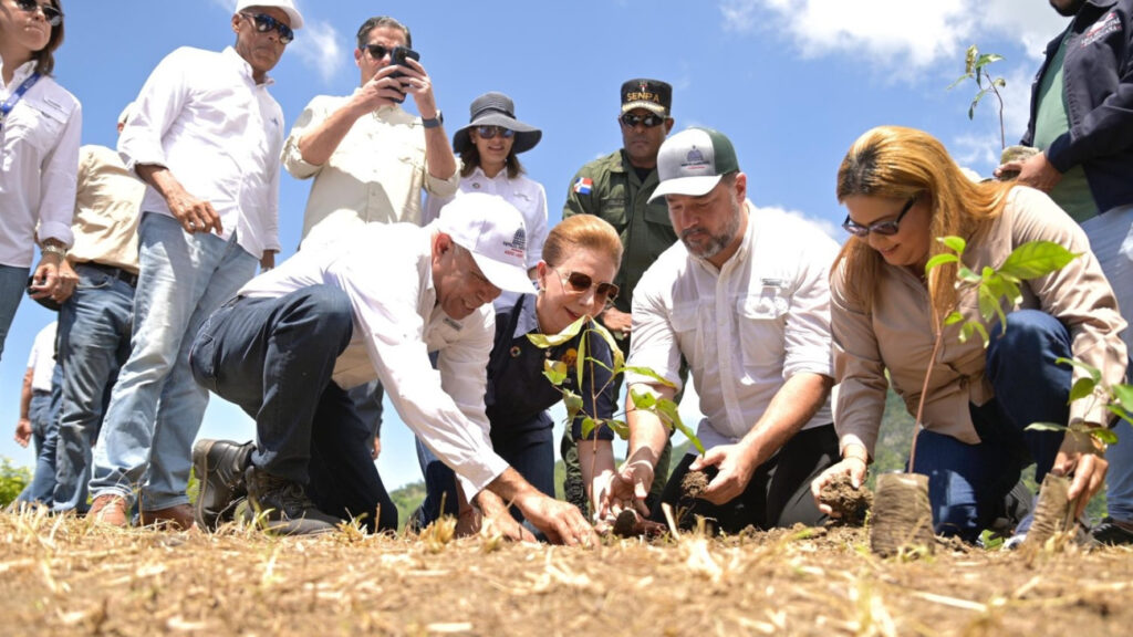 medio ambiente reforestación