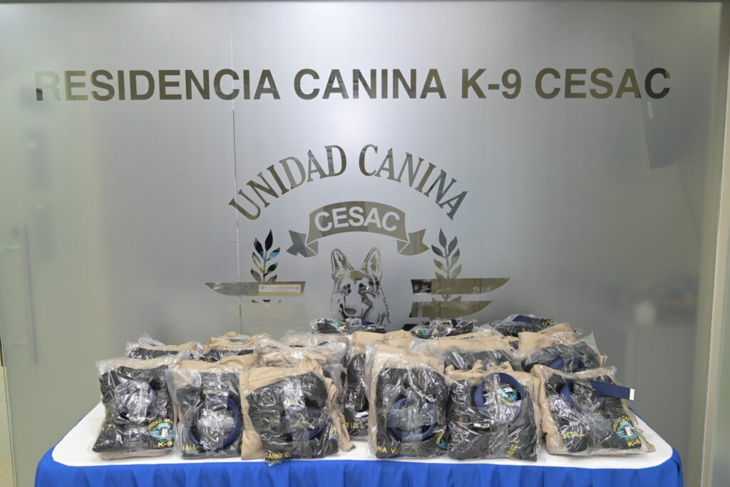 residencia canina del cesac