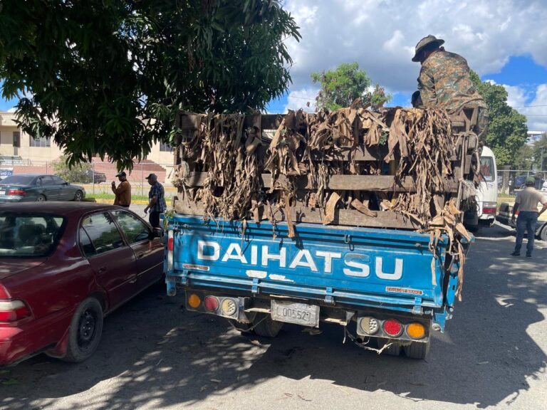 camion camuflado