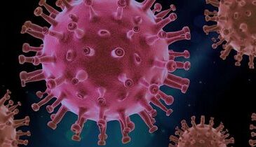 norovirus