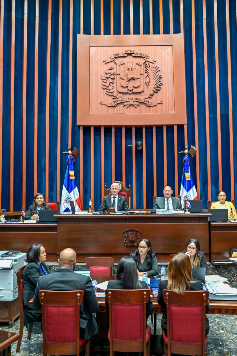 senadores en sesion 2025