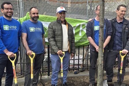 congresista espaillat sirmbra arbol