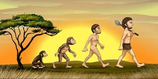 revolucion humana