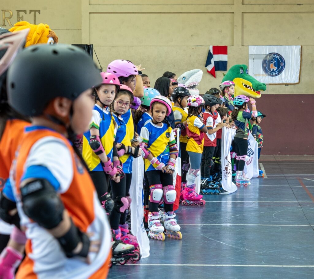 SKATELAND ACADEMY