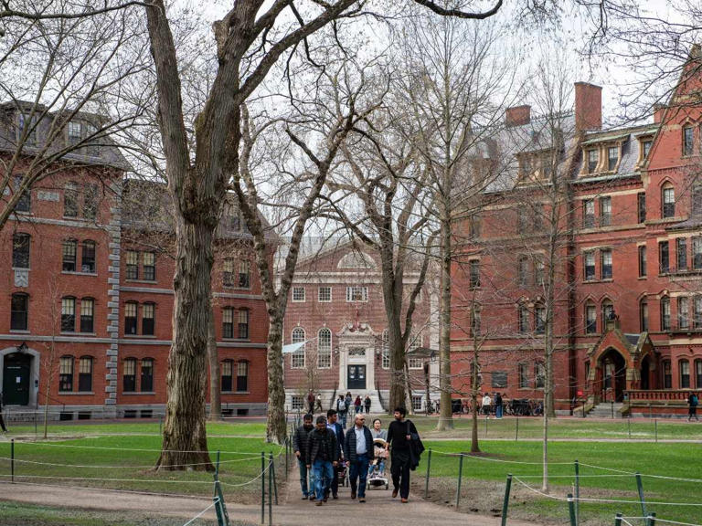 harvard