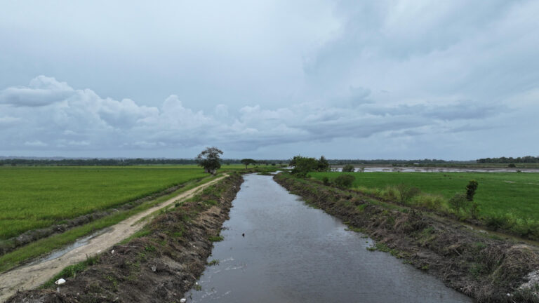 limpieza de canales