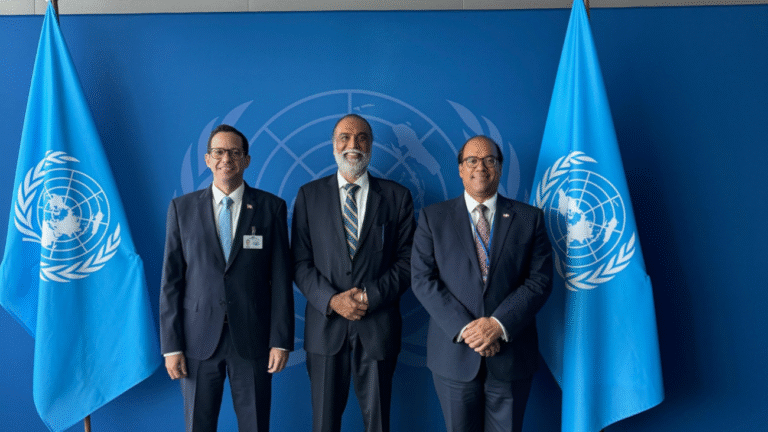 map en la onu