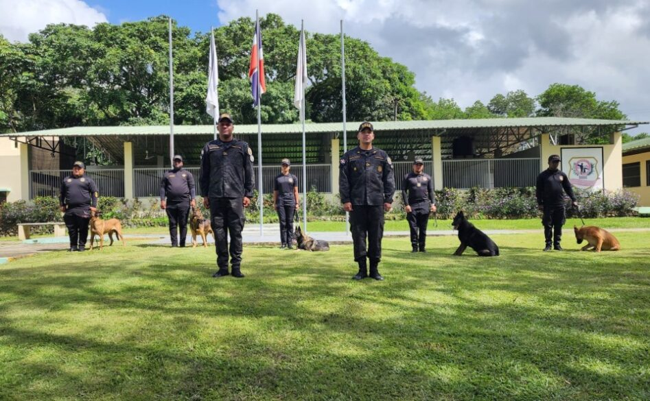 cinco perros con honores