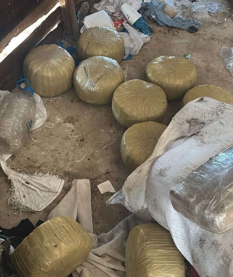 dncd confisca marihuana montecristi