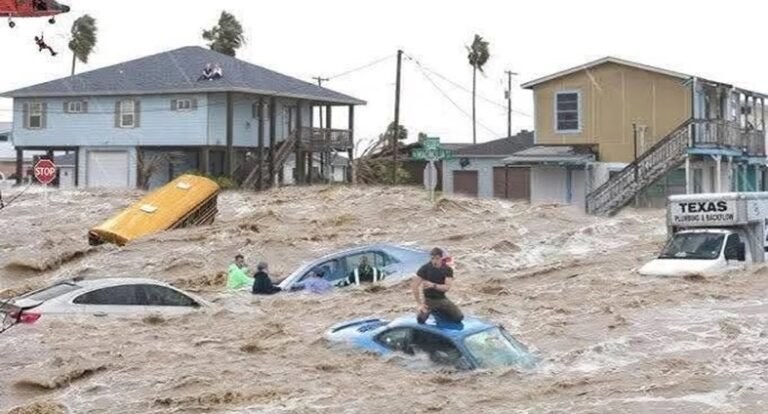 dominicanos en texas