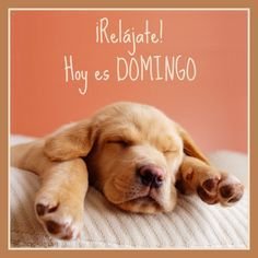 hoy es domingo