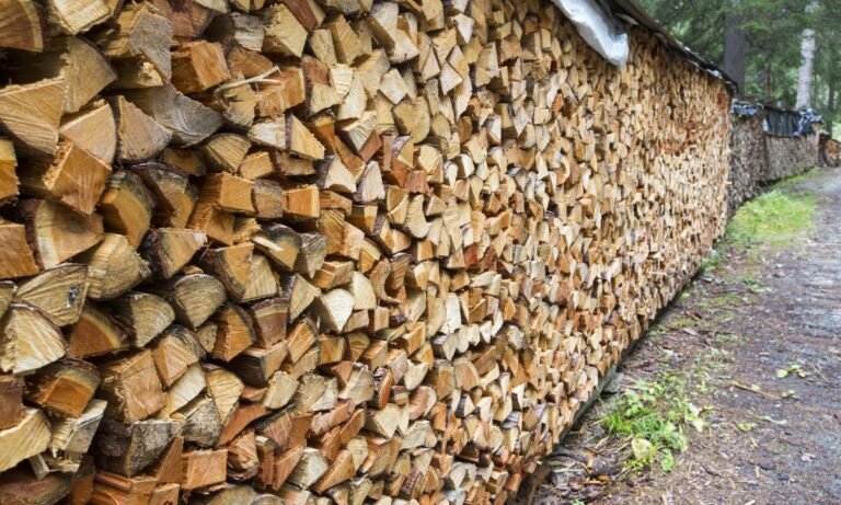 la-lena-tiene-fecha-de-caducidad-y-los-expertos-piden-no-usarla-en-la-chimenea-a-partir-de-esta-fecha