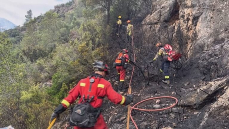 muere auxiliar forestal