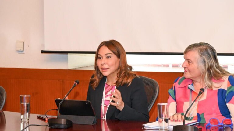 conferencia de la mujer
