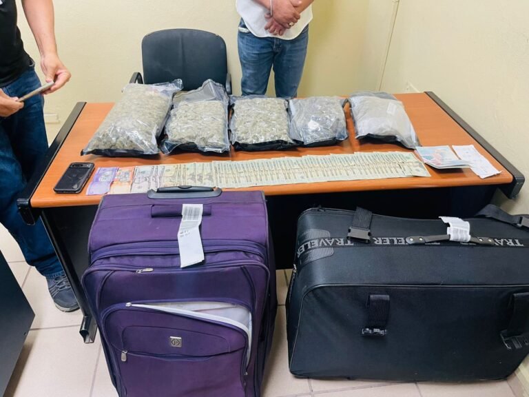 dncd intervienen marihuana