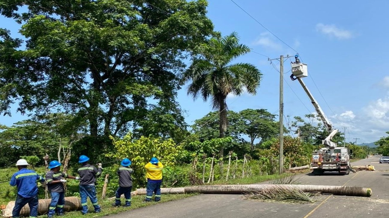 edeeste miches