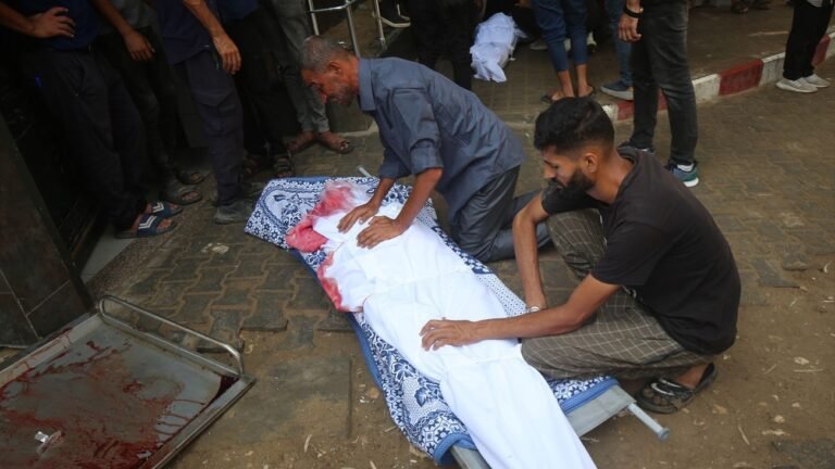 fuerza de paz en gaza