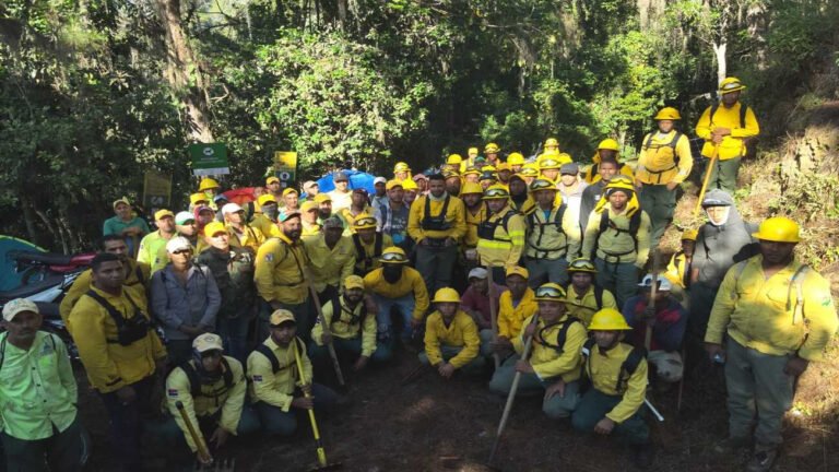 medio ambiente trabaja