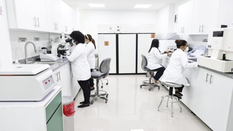 sns amplia servicios