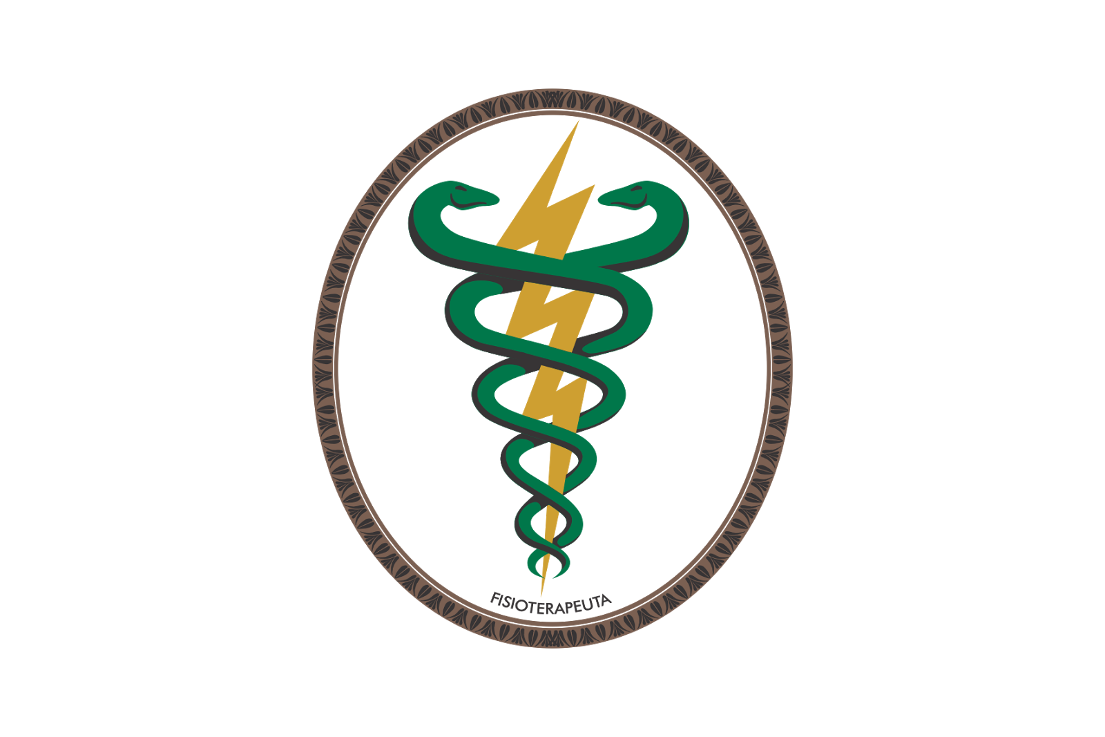 Fisioterapia