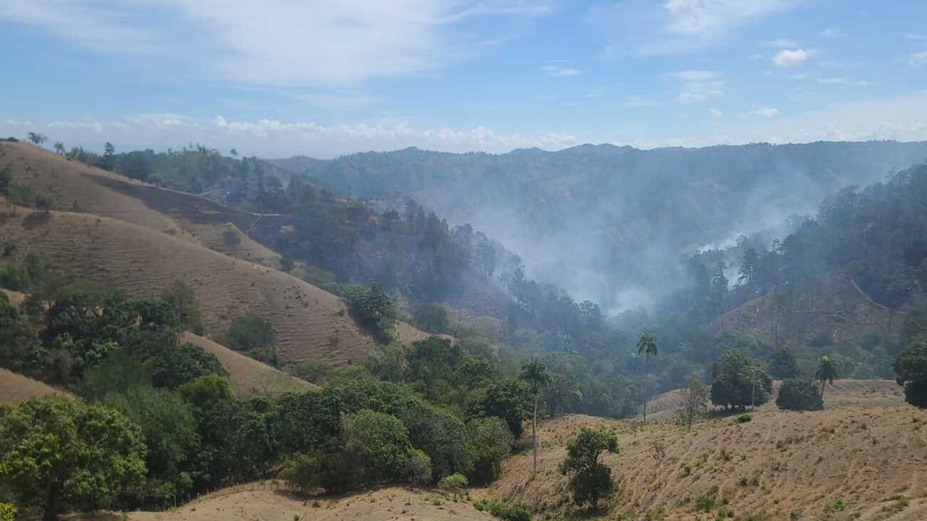 controlan incendio