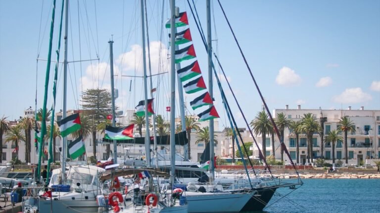 la flotilla denuncia.jpf