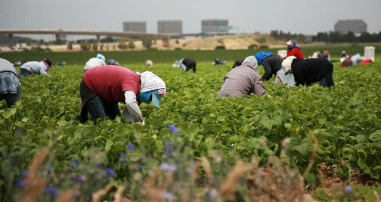 segun datos del censo
