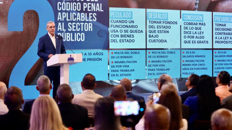 seis ejes de abinader