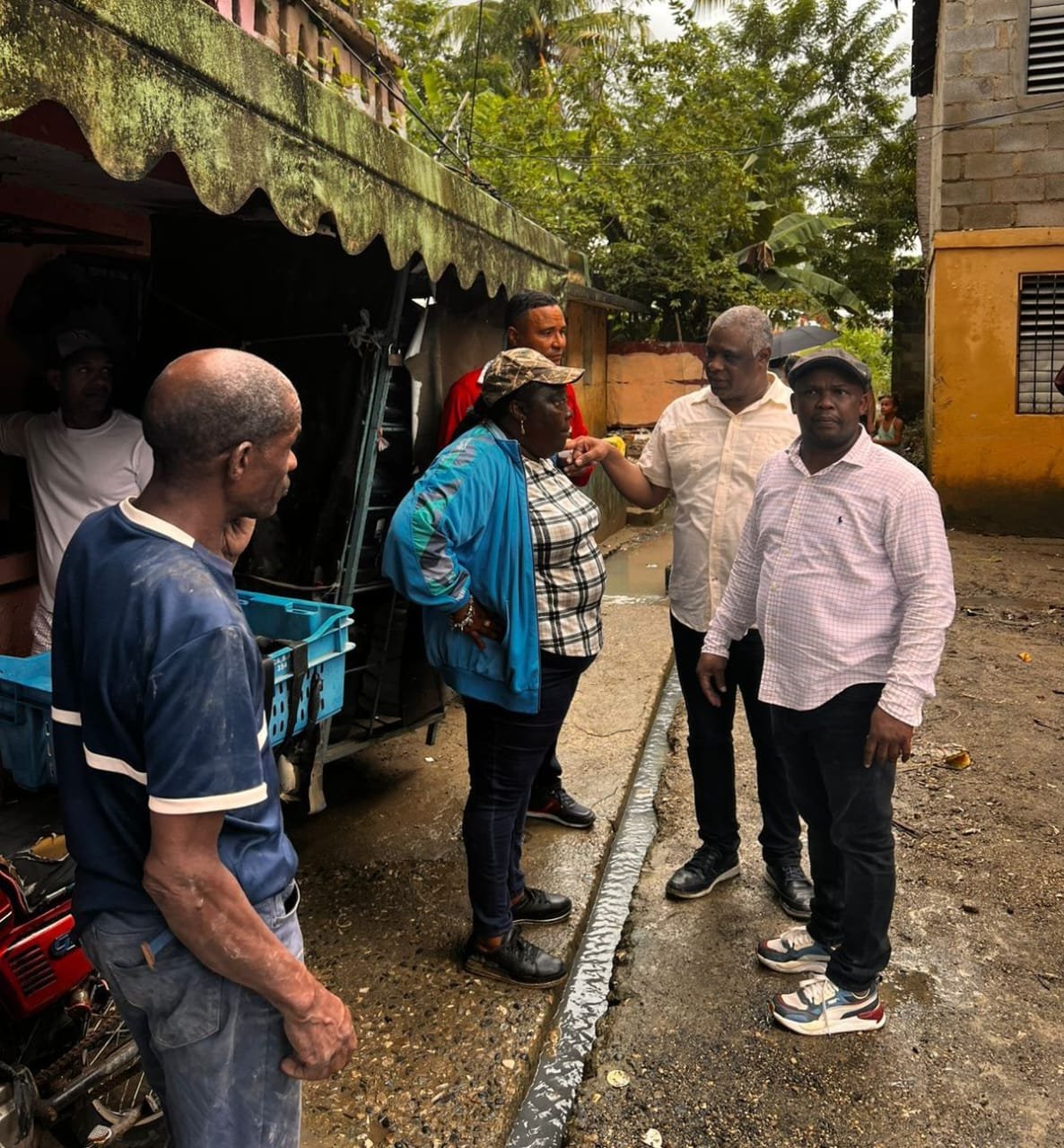 diputada dulce rojas