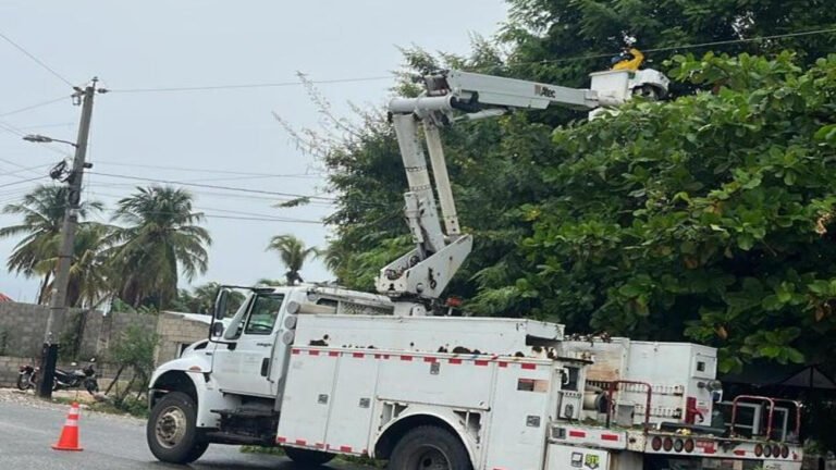 distribucion electrica