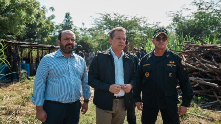 rd en senado de brasil