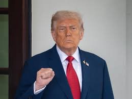 trump con puño