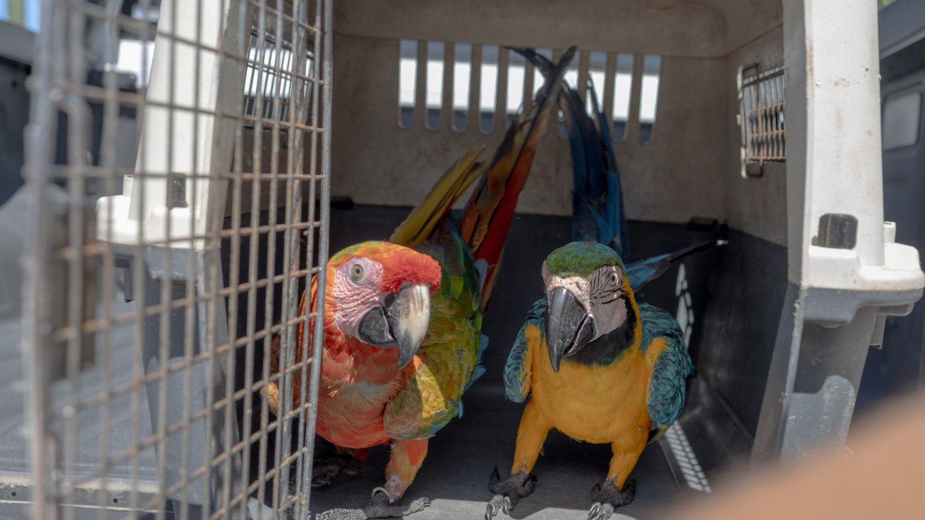 ministerio medio ambiente