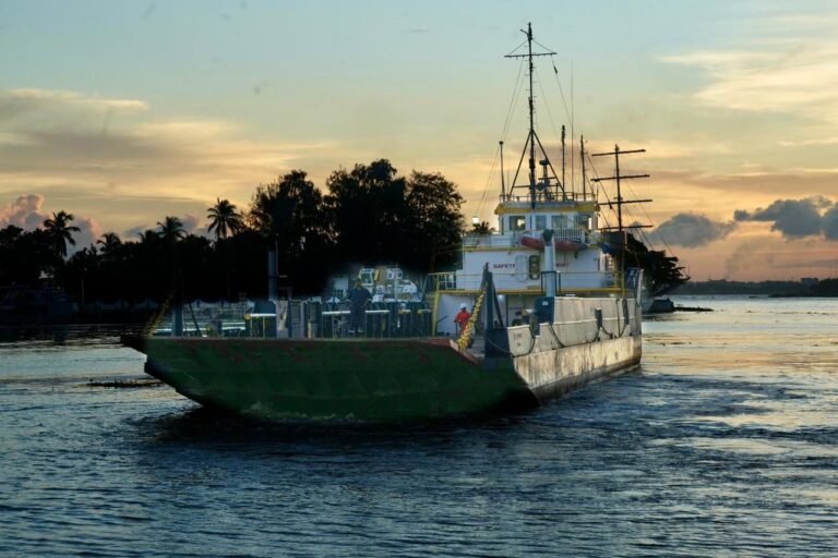 rd solidaridad con jamaica