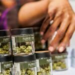 Ventas de marihuana en NY rompre records .