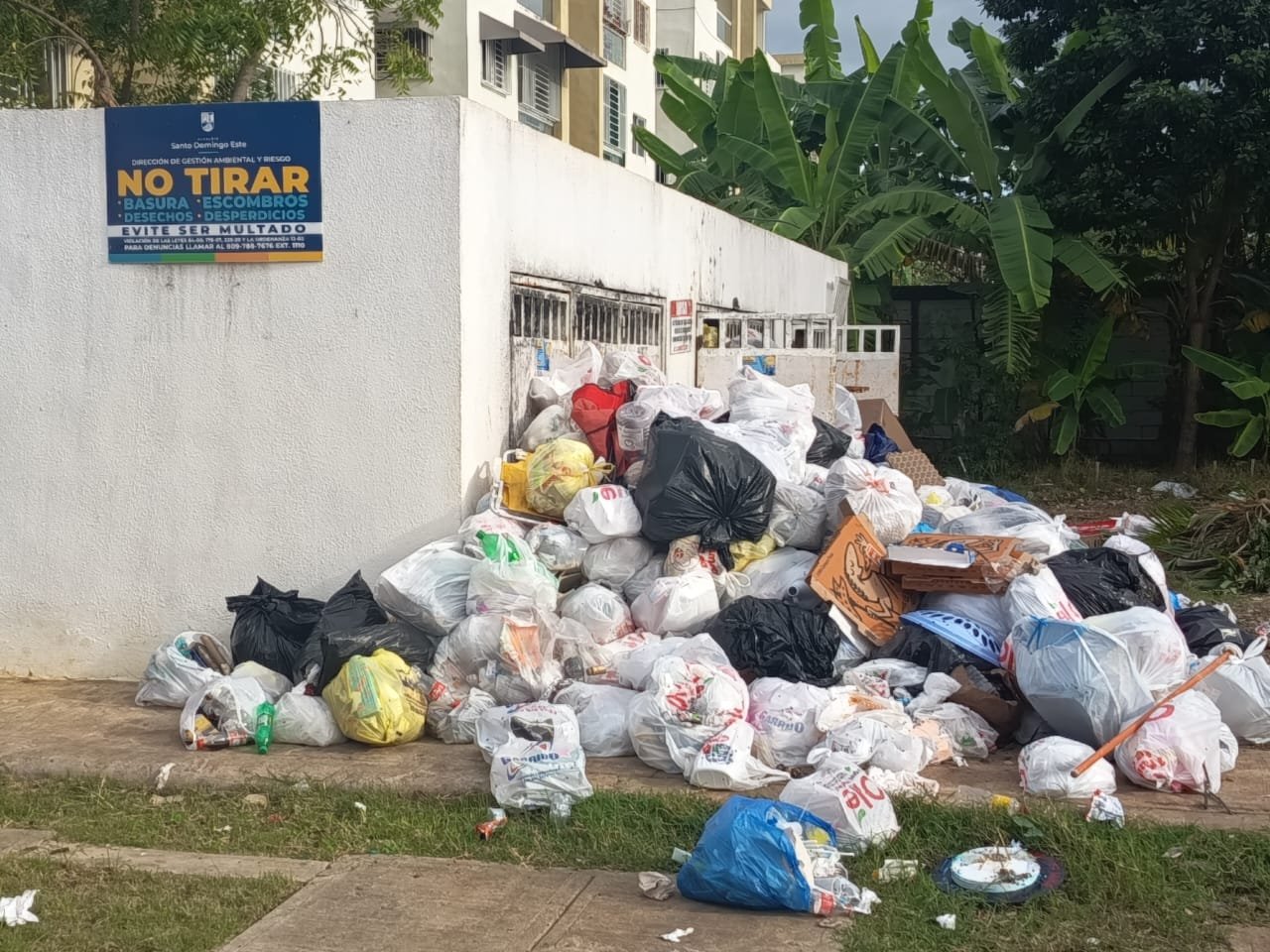 WhatsApp Image 2026-01-12 at 19.01.30 (2)