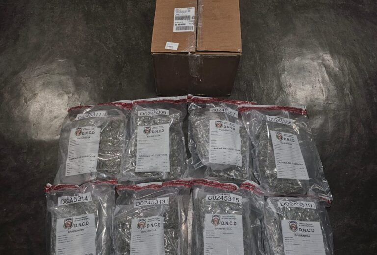 WhatsApp Image 2026-02-06 at 15.08.31