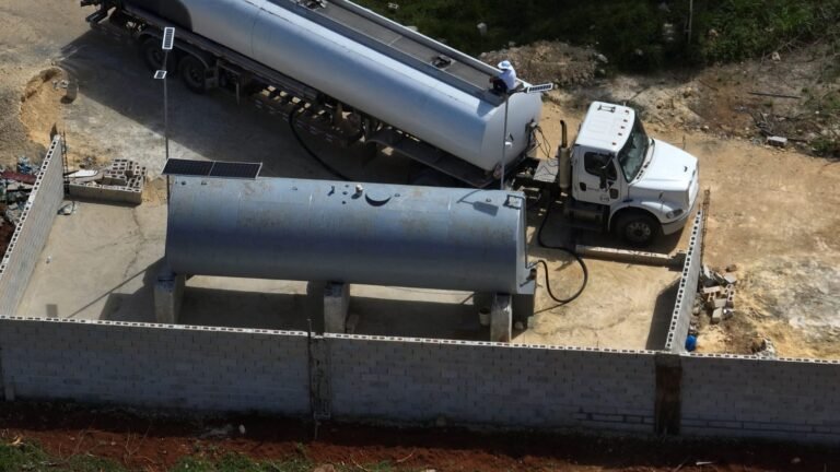 WhatsApp Image 2026-02-23 at 15.34.39