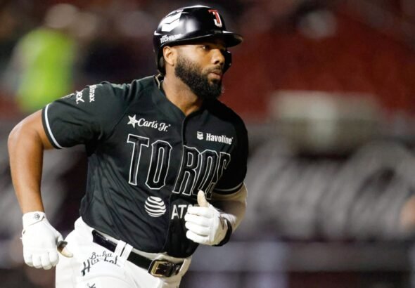 WhatsApp Image 2026-02-24 at 12.17.16